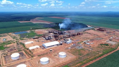 Bevap se prepara para safra 2025/26 com meta de recorde na produção