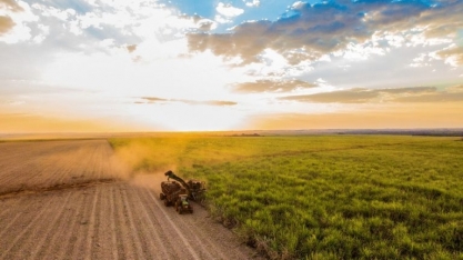 Stonex Vê Aumento da Produção de Açúcar do Centro-sul em 2025/26