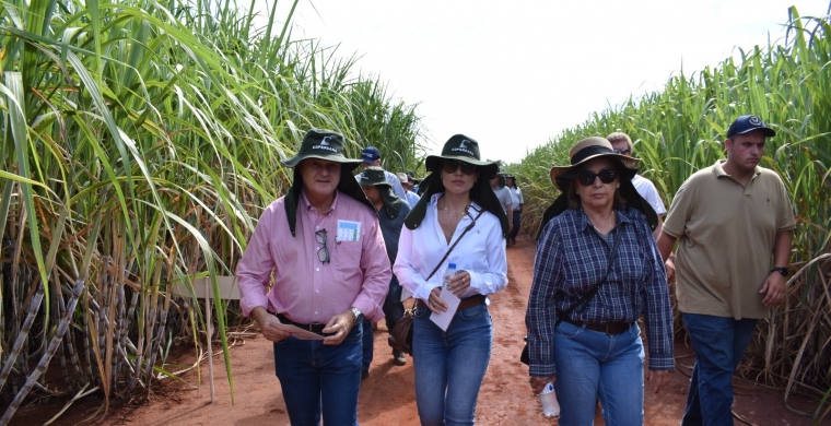 A Copercana é patrocinadora do 13º Cana Substantivo Feminino