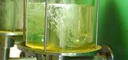 Governo vê foco dos EUA em etanol do Brasil e risco baixo para carnes e café