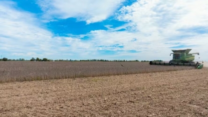 Produtores e empresas americanas temem consequências da “guerra tarifária”