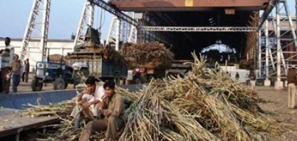 Usinas da Índia assinam contratos para exportar 600 mil toneladas de açúcar