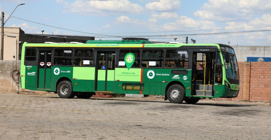 (Foto: Divulgação SGG-GO)