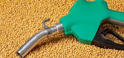 ANP nega pedido para suspender mistura de biodiesel no país