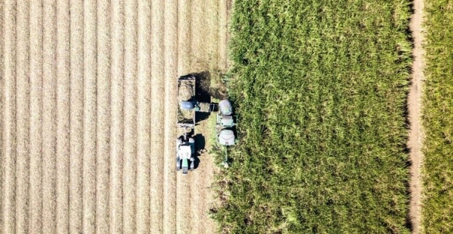 A usina afetada da São Martinho tem moagem estimada de 2,4 milhões de toneladas na safra 2025/26. Getty Images