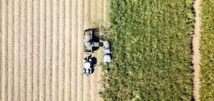 São Martinho Pode Reduzir até 30% da Capacidade de Usina