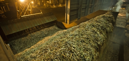 Moagem atinge 1,8 milhão de toneladas na primeira quinzena de março