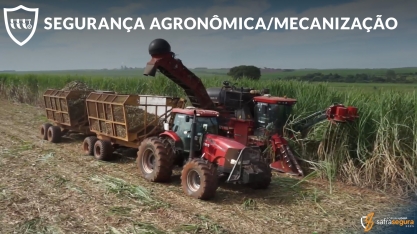 Especialistas listam ações para evitar acidentes no processo de corte, colheita e transporte de cana