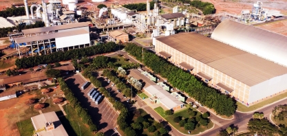 Usina Lins deve moer 4,29 milhões de toneladas de cana-de-açúcar na safra 2025/2026