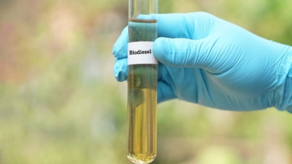 Brasil Acelera na Rota do Biodiesel com Meta de Mistura de 20% até 2030