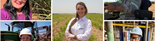 2ª edição do livro Mulheres da Cana-de-Açúcar traz o perfil de 152 mulheres do setor bioenergético