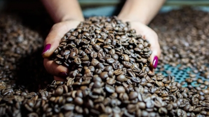 Café e açúcar sobem na abertura da bolsa de Nova York