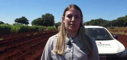 Com dois plots no CanaShow IAC, Massari mostrará os diferenciais e benefícios de seus fertilizantes