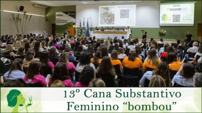 13º Cana Substantivo Feminino “bombou”