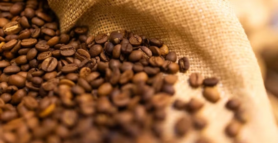 Também pesa sobre as cotações do café as condições climáticas mais favoráveis às lavouras — Foto: Wenderson Araujo/CNA