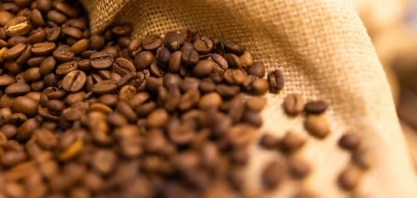 Café cai em Nova York sob temor de recessão nos EUA; cacau, algodão e açúcar também operam em baixa