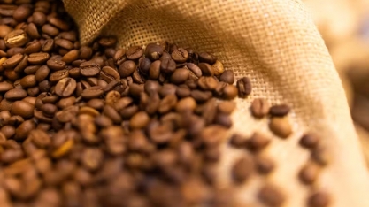 Café cai em Nova York sob temor de recessão nos EUA; cacau, algodão e açúcar também operam em baixa