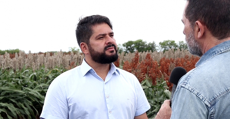 Aldemar Monteiro reforça que resultados obtidos com a cultura e as garantias dadas por Pindorama atraem os produtores - Foto: BCCOM Comunicação