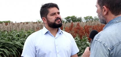 CPLA visita área de testes de sorgo em Pindorama