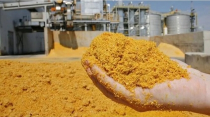 China deve abrir mercado para subproduto do etanol e pescados brasileiros