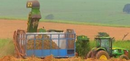 Globo Rural acompanhou transformações do setor de cana-de-açúcar em SP
