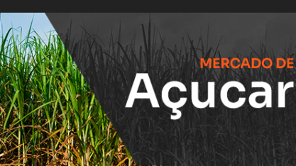 Cisne negro com penugem laranja assusta o mercado