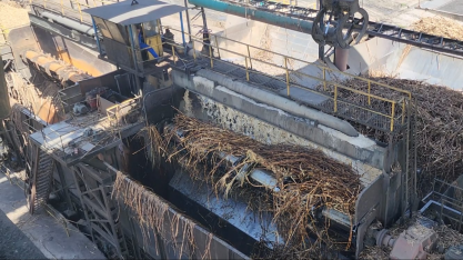 Moagem 24/25 é finalizada em Alagoas