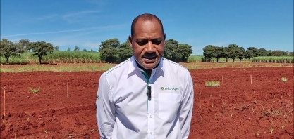 Microgeo apresentará canavial com mais stand, sanidade e perfilhamento no Cana Show – IAC