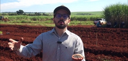 Benefícios dos organominerais poderão ser conferidos no Cana Show - IAC