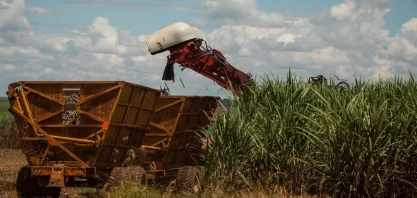 Preço do açúcar sobe enquanto o do etanol caiu no mercado de São Paulo