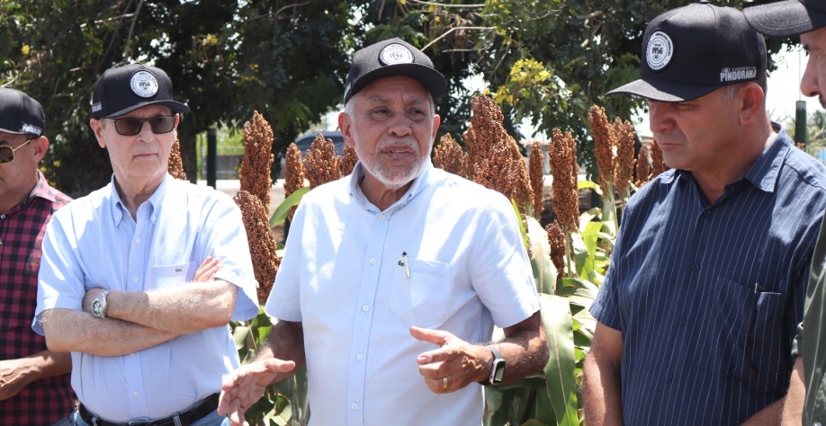 Empresa busca ampliar espaços para a cultura, aumentando a oferta no estado - Foto: BCCOM Comunicação