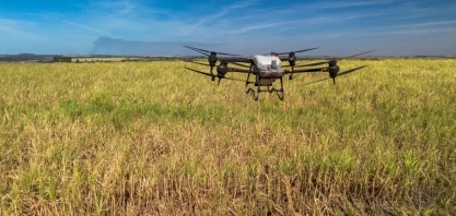 Tereos utiliza drones para aplicar defensivos agrícolas em canaviais e economiza R$ 250 por hectare