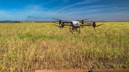 Tereos utiliza drones para aplicar defensivos agrícolas em canaviais e economiza R$ 250 por hectare