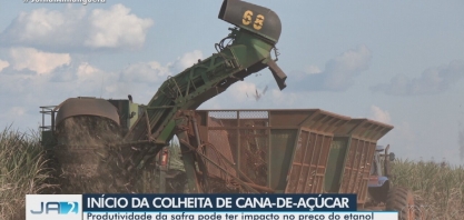 GO: safra da cana-de-açúcar pode impactar no preço do etanol