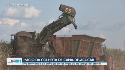 GO: safra da cana-de-açúcar pode impactar no preço do etanol