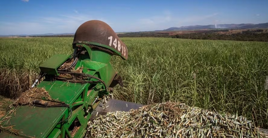 Chuvas em algumas regiões produtoras de cana-de-açúcar limitaram a colheita da nova safra — Foto: Wenderson Araujo/CNA