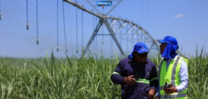 Lei do Bem: Inovação Sustentável que Impulsiona o Futuro da Usina Lins