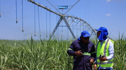 Lei do Bem: Inovação Sustentável que Impulsiona o Futuro da Usina Lins
