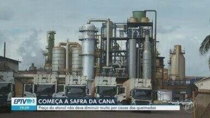 Safra da cana começa e preço do etanol não deve diminuir