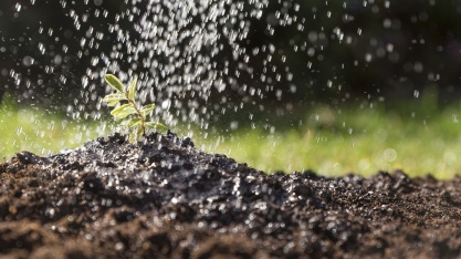 Agroindústria cresce apenas 0,3% em janeiro, revela FGVAgro