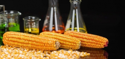 Com boom de etanol de milho, biorrefinarias avançam e produção pode dobrar até 2032