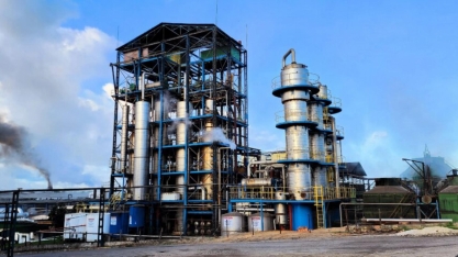 Ao avançar no RenovaBio, Alagoas se destaca na transição energética