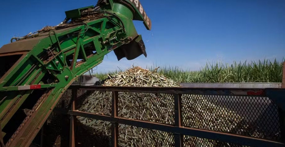 Algumas usinas já começaram a moagem — Foto: Wenderson Araújo/CNA