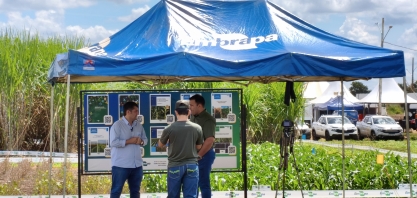 Expocanas: Embrapa e parceiros impulsionam setor sucroenergético estadual