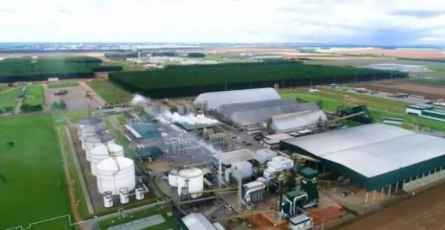 Foto: Ascom/Ilustração