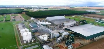 Mato Grosso mantém liderança na produção de etanol de milho e atinge novo recorde na safra 2024/25