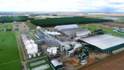Mato Grosso mantém liderança na produção de etanol de milho e atinge novo recorde na safra 2024/25