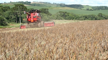 Agricultura: valor bruto da produção em 2025 deve ser de R$ 1,421 tri, 10,1% maior que o de 2024