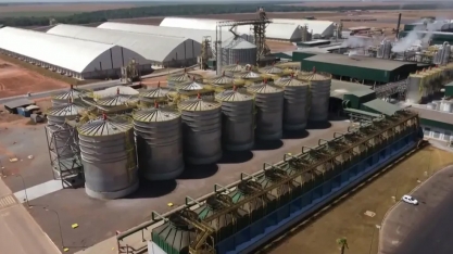 Com impulso do milho, Centro-Sul encerra safra com novo recorde histórico na produção de etanol