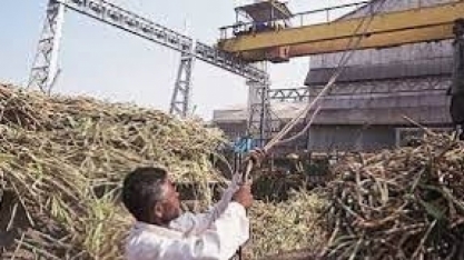 Índia se aproxima da meta de 20% de etanol na gasolina e já projeta novos avanços no setor